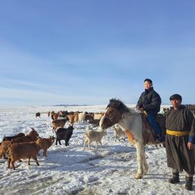 Livestock mortality has been increasing as weather gets more extreme over time