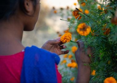 Back of a girl who is examining flowers