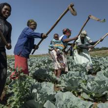 Building Secure Livelihoods