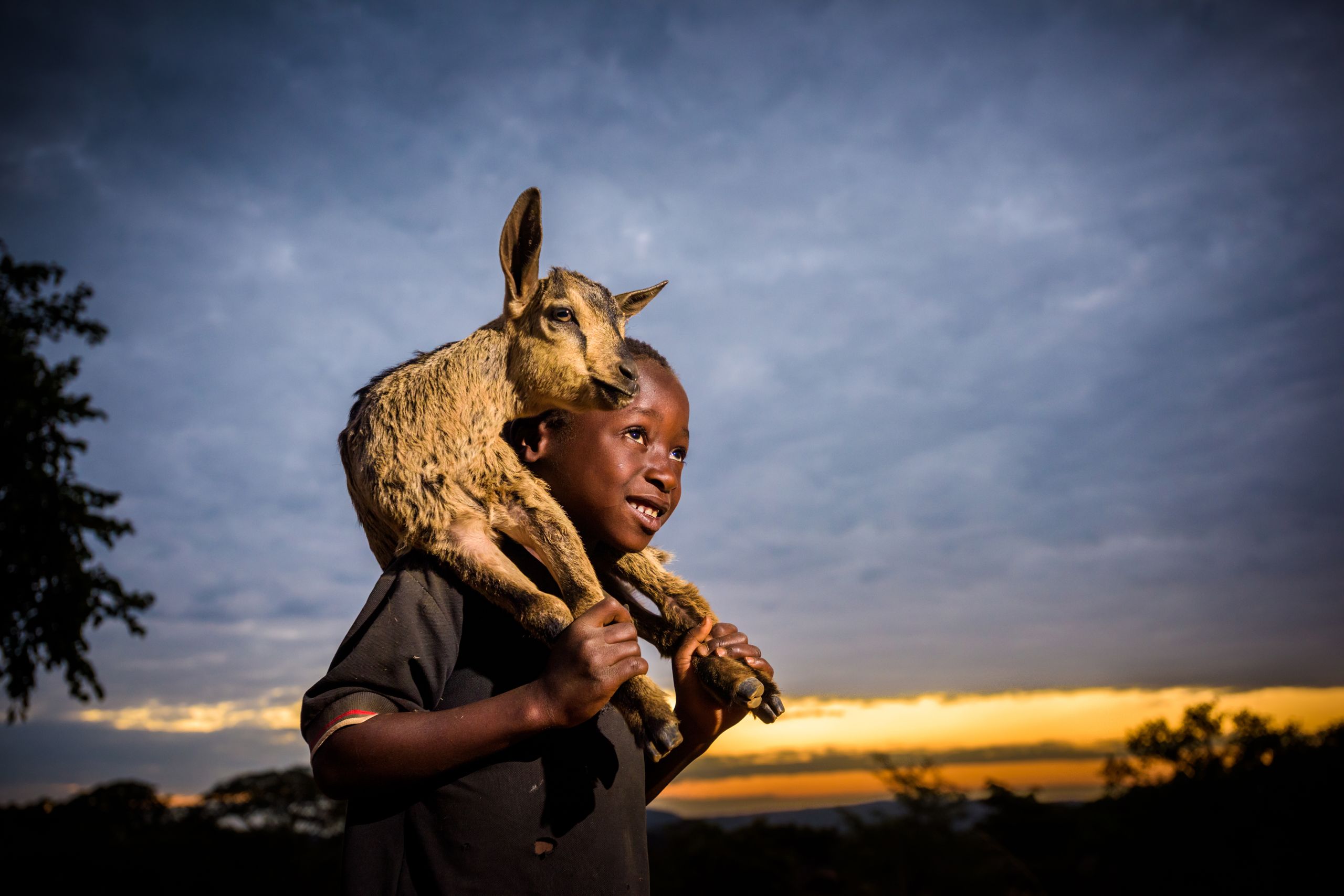 <alt="A boy smiling and carrying a goat">